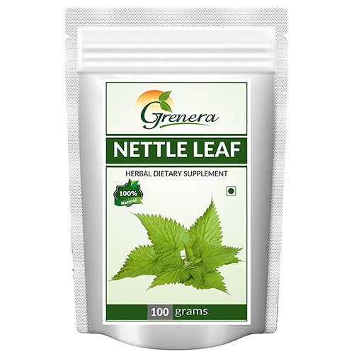 Nettle Leaf 1